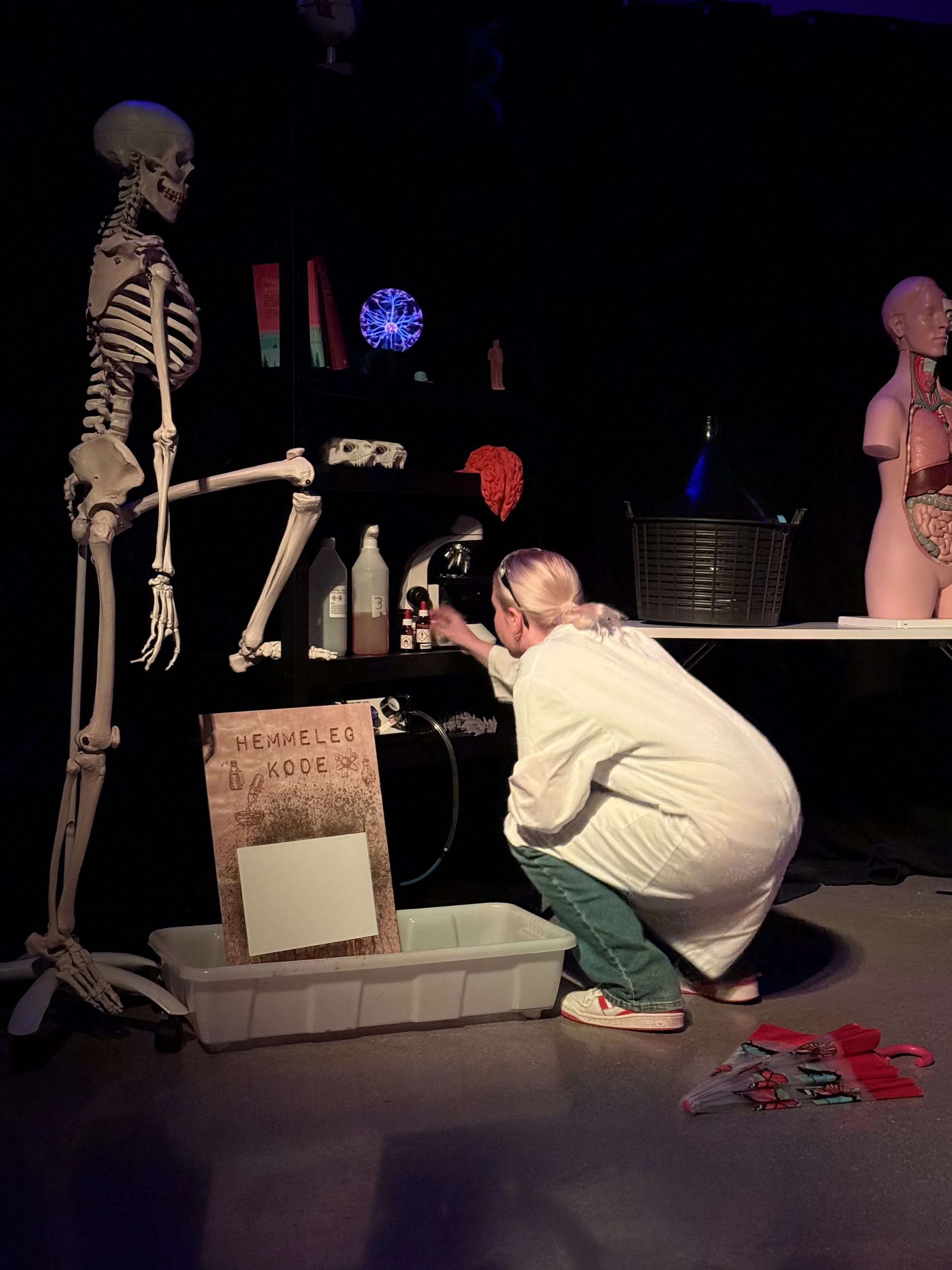 Sommarferien på ViteMeir