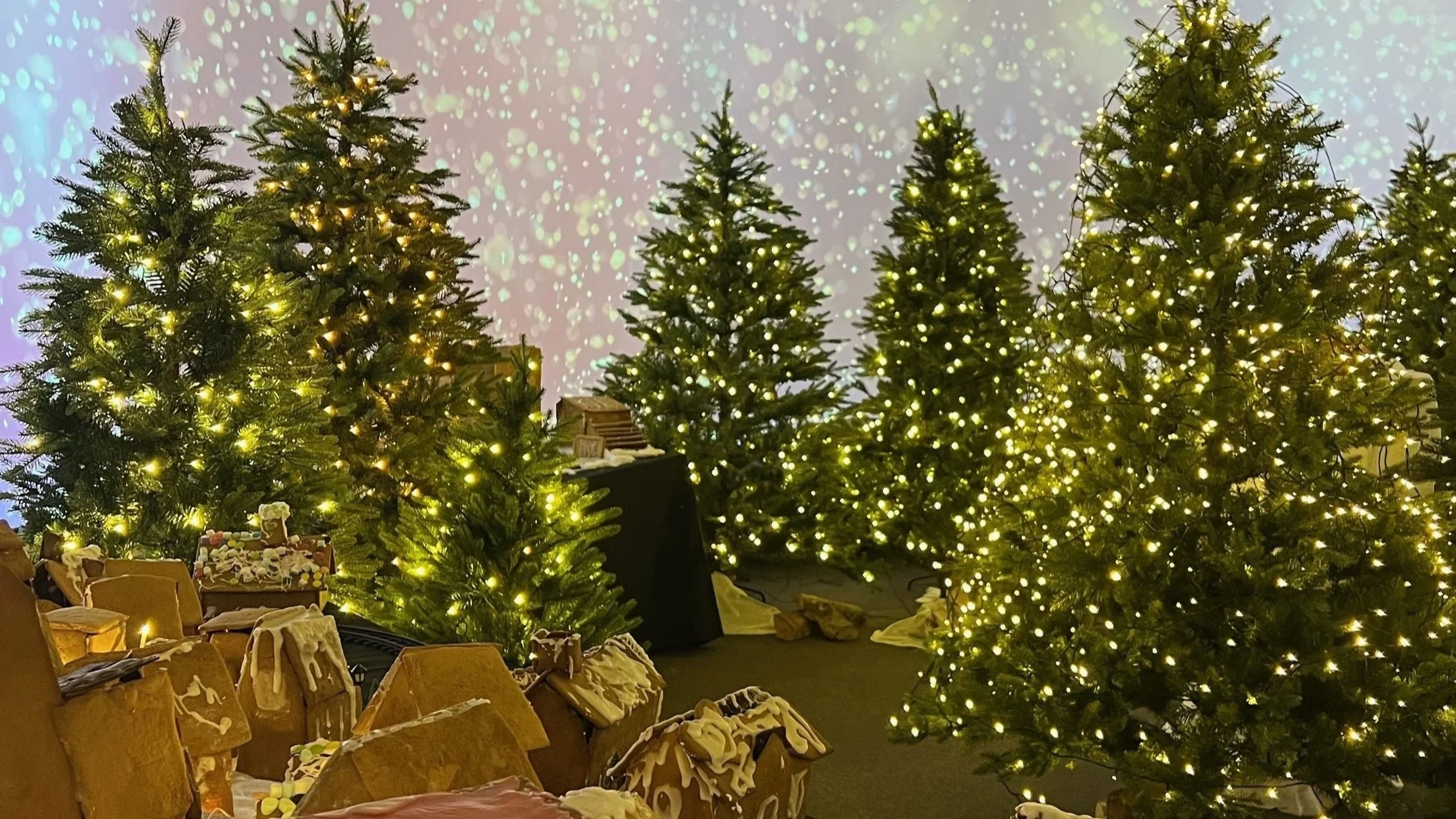 Onsdagsaktivitet - Opning av Pepperkakebygda! 🎄✨