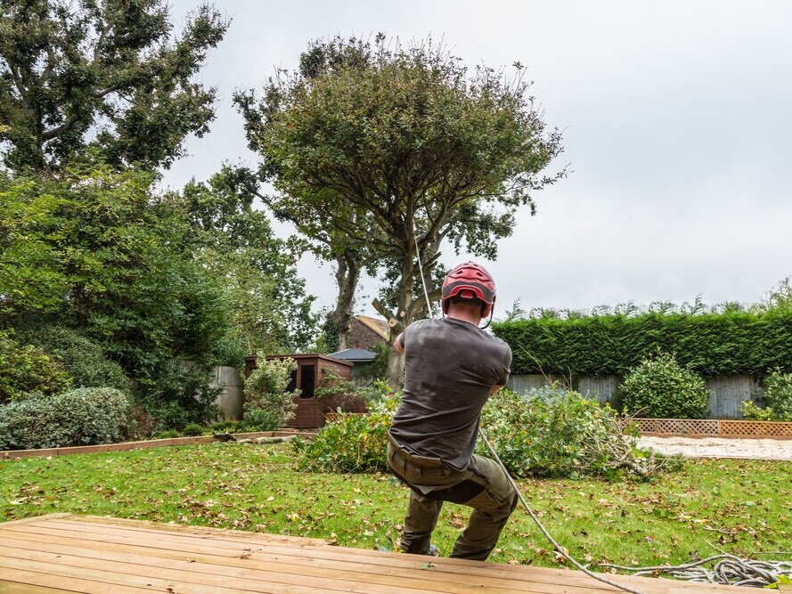 DB Ground and Garden Landscaping and ground works Tree Surgery herefordshire monmouthshire gloucestershire worcestershire