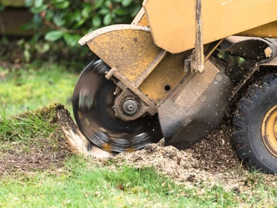 DB%2BGround%2Band%2BGarden%2BLandscaping%2Band%2BGround%2BWorks%2BTree%2Bstump%2Bgrinding%2BHerefordshire%2BWorcestershire%2BGloucestershire%2BMonmouthshire