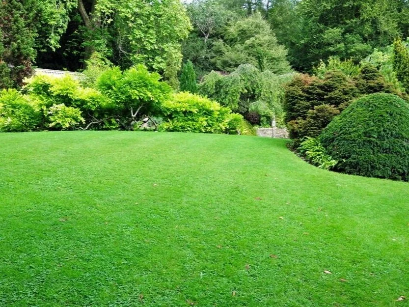 DB%2BGround%2Band%2BGarden%2BLandscaping%2Band%2BGroundswork%2BHard%2Band%2Bsoft%2Blandscaping%2Bfor%2Bsmall%2Band%2Blarge%2Bprojects