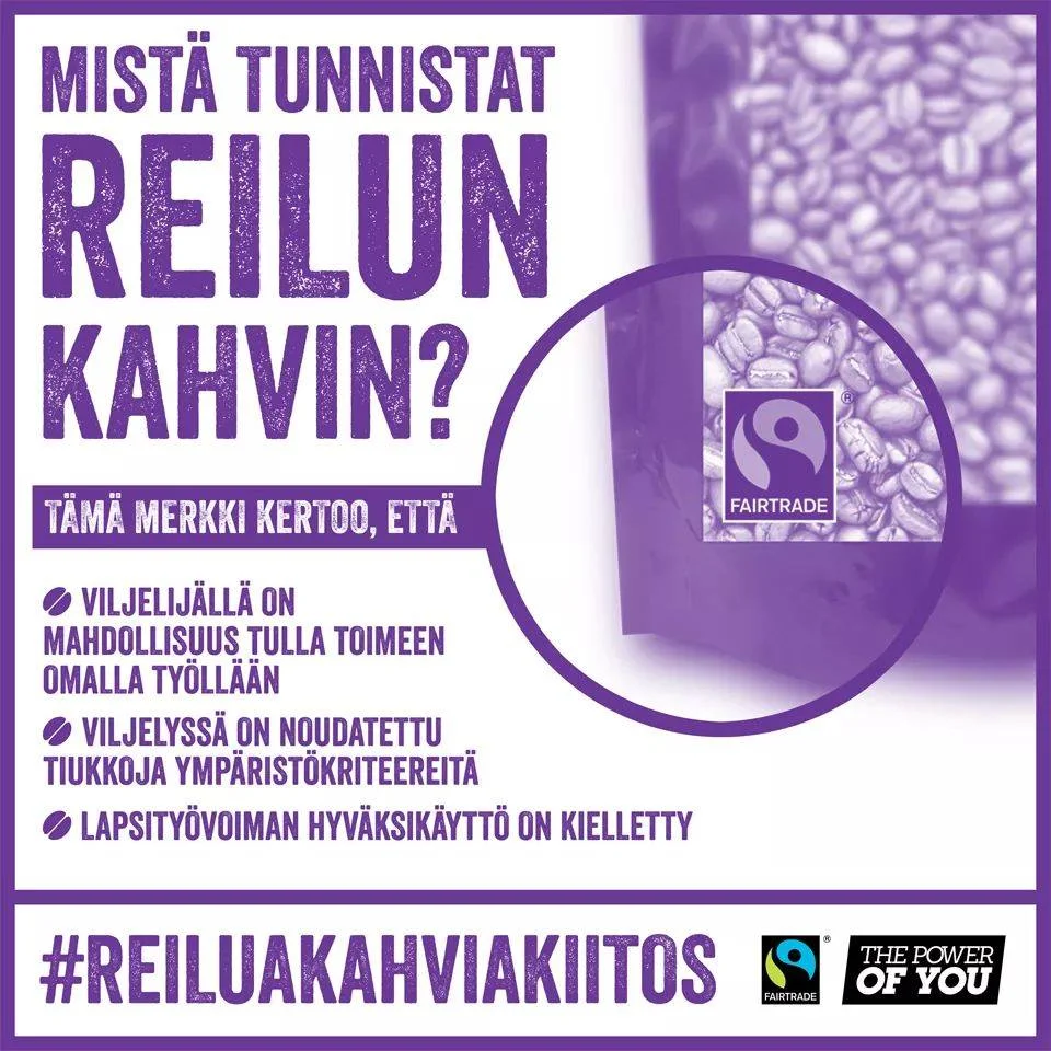 mitä tunnistat.jpg