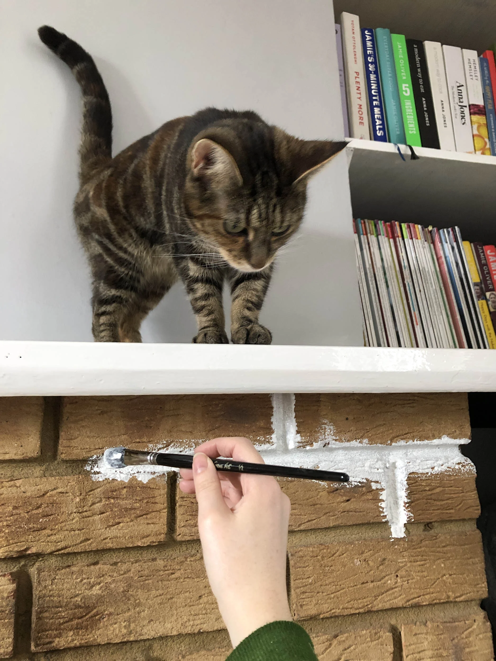My progress was monitored closely…
