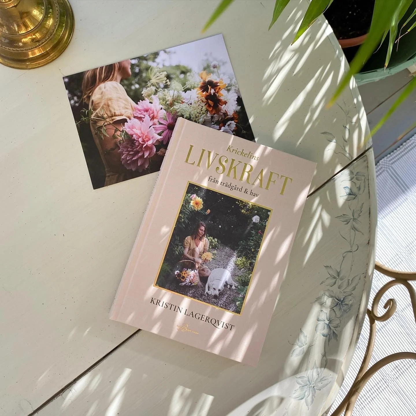 "Livskraft" av Kristin Lagerqvist, The Book Affair 2022