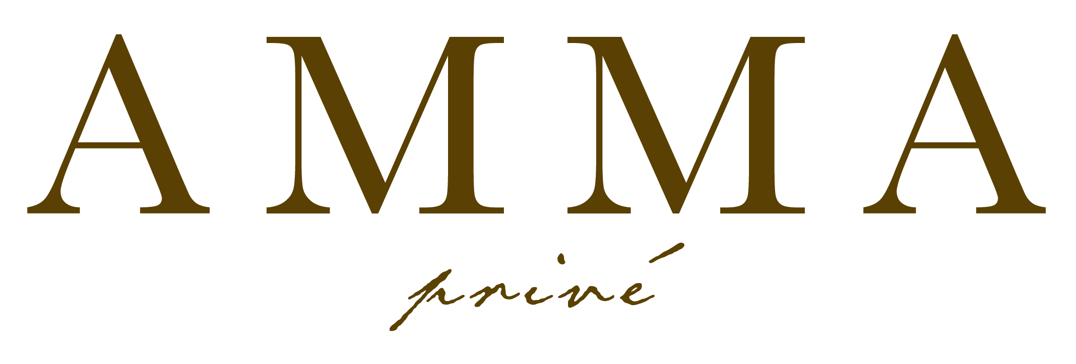 AMMA Logo.png
