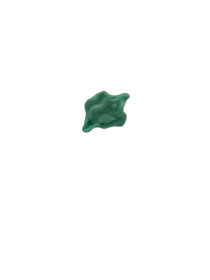 turquoise crocs charm.png
