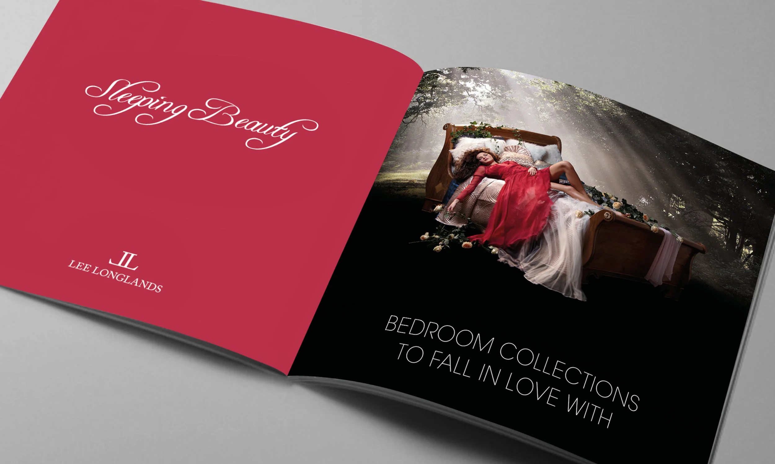 Brochure Design and Art Direction