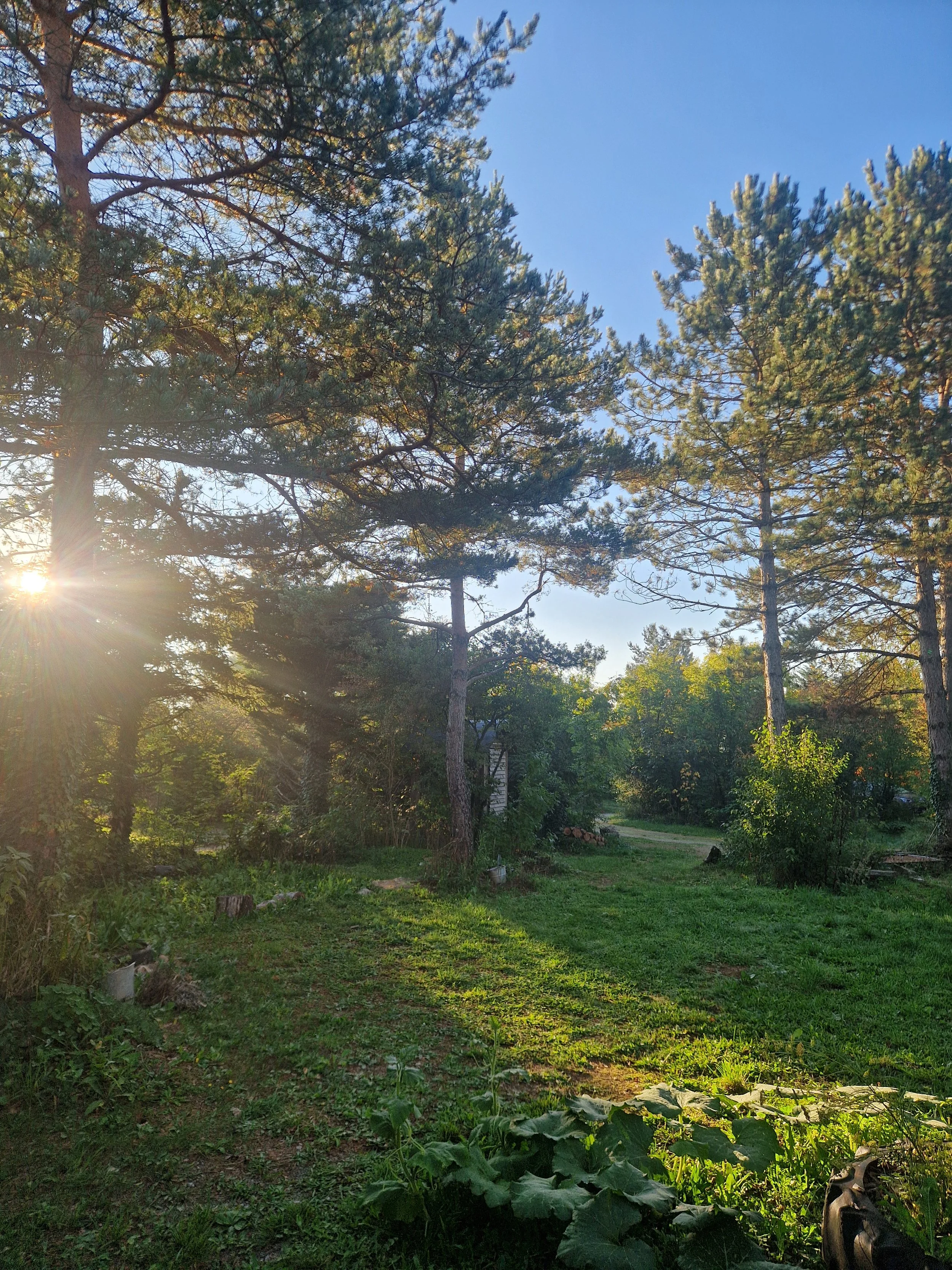 Massage Tuina Rodez - Acupuncture  - Médecine Traditonnelle Chinoise - 6.jpg