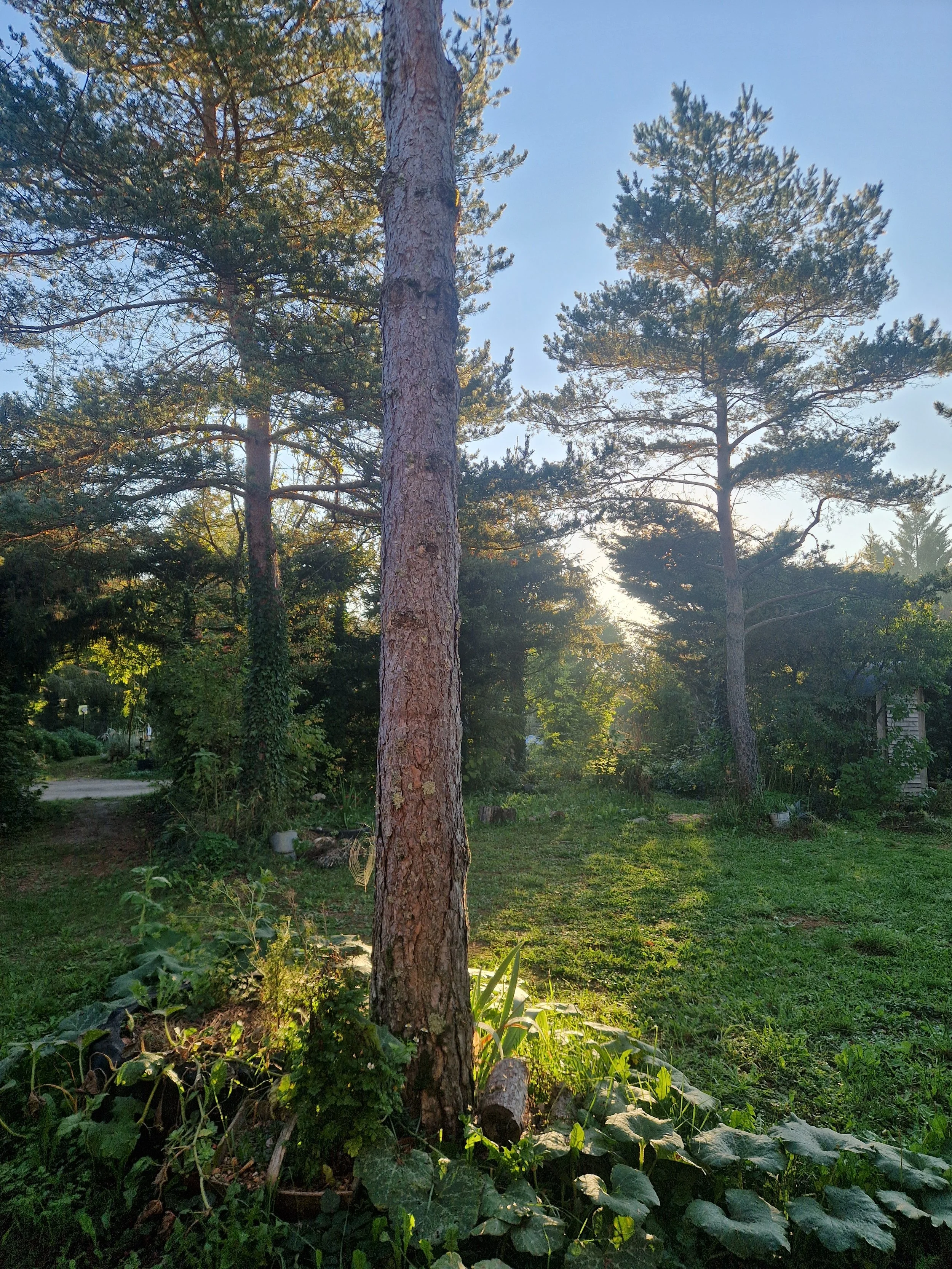 Massage Tuina Rodez - Acupuncture  - Médecine Traditonnelle Chinoise - 5.jpg