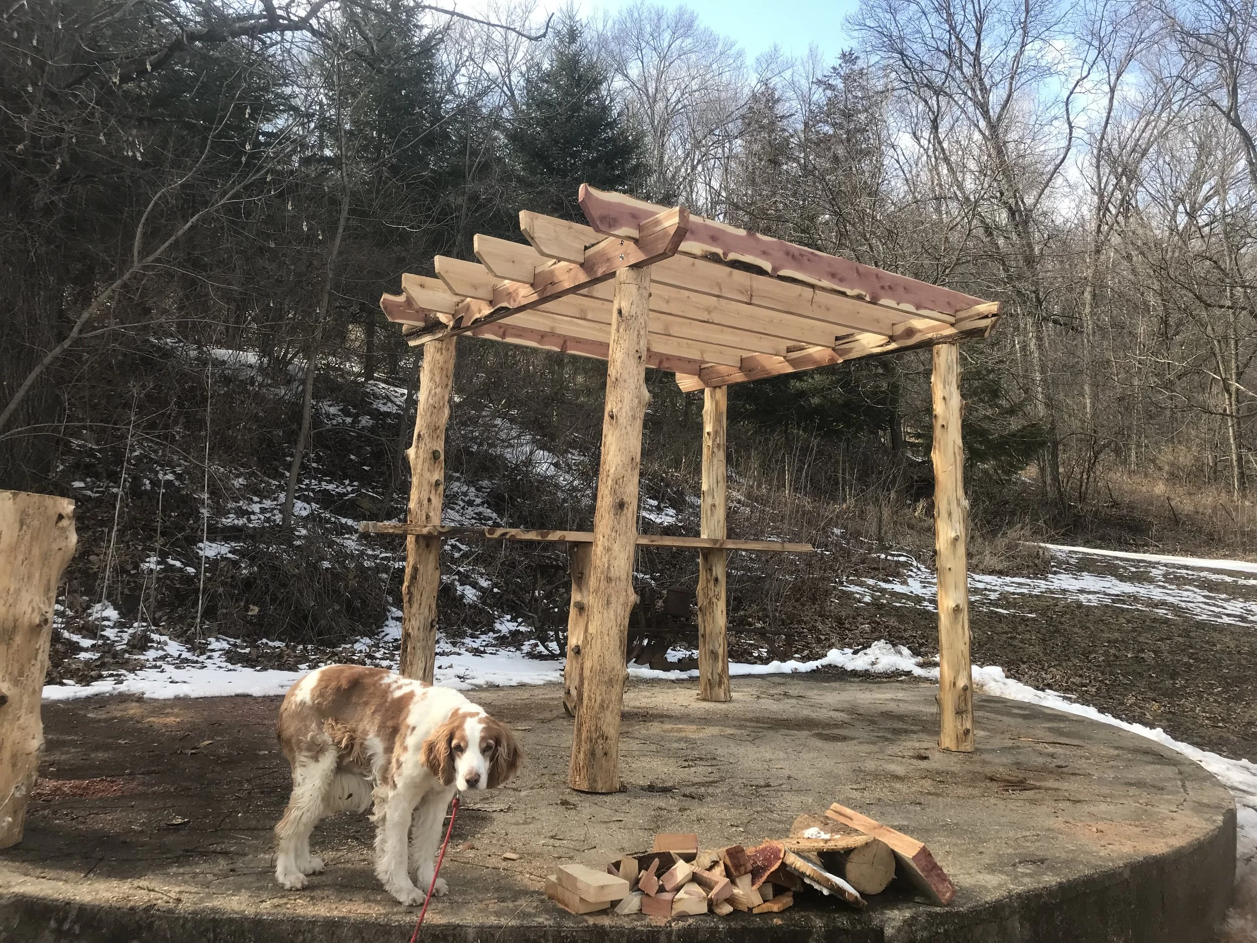 pergola 2.jpg