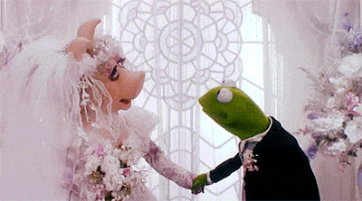giphy (4).gif