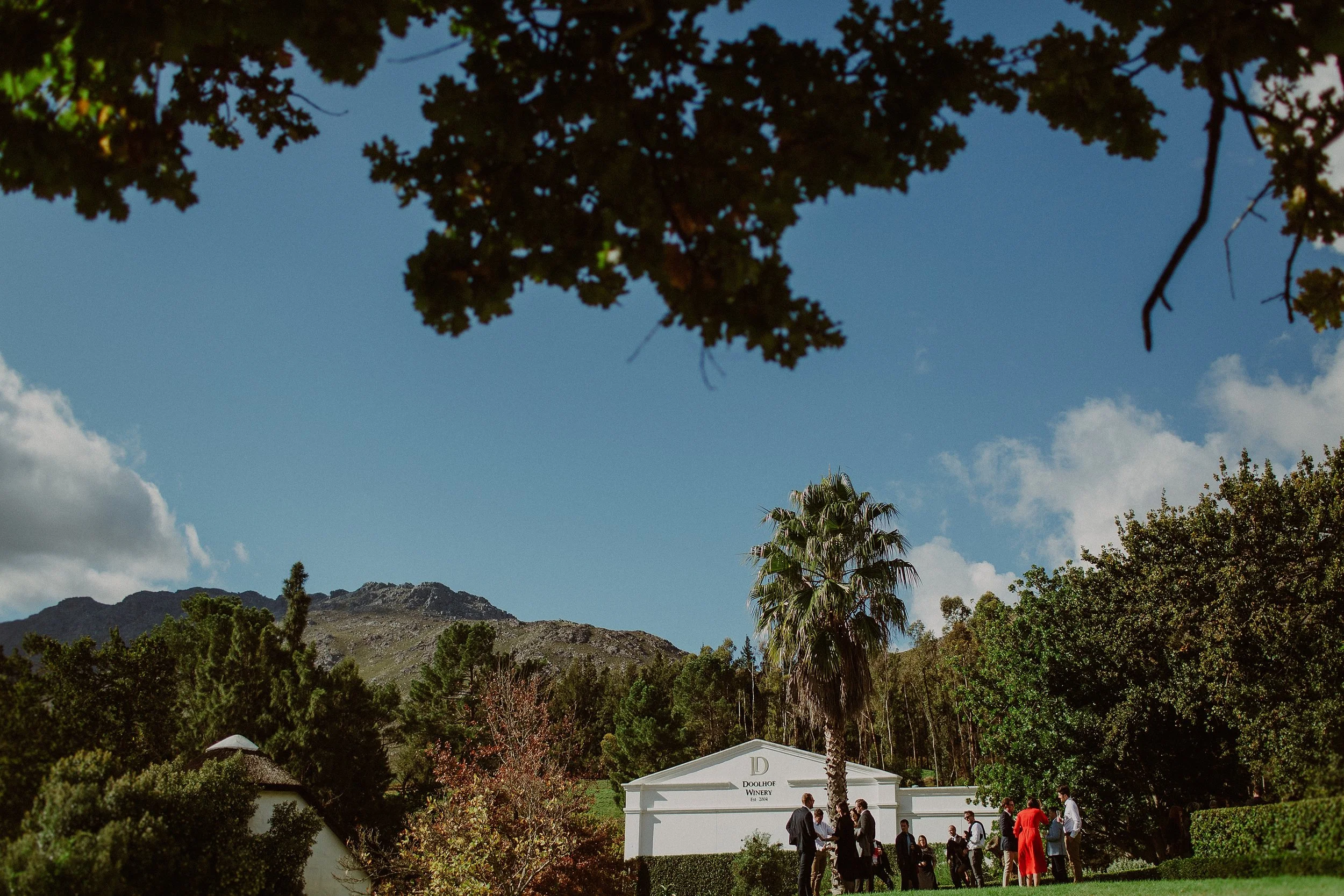 pcbenade-photography-dani-damian-wedding-capetown-westerncape97.jpg