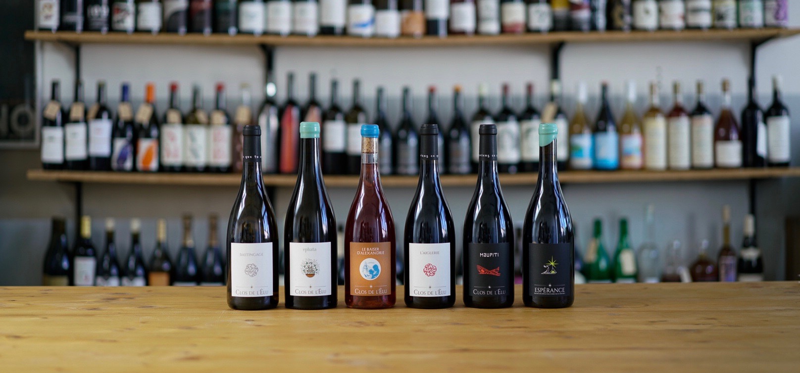 Clos de l'Elu_lineup.jpeg