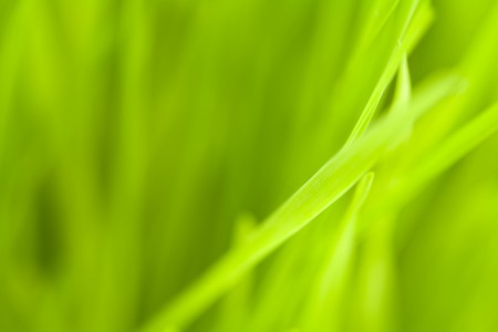 Green-Design-450x300.jpg