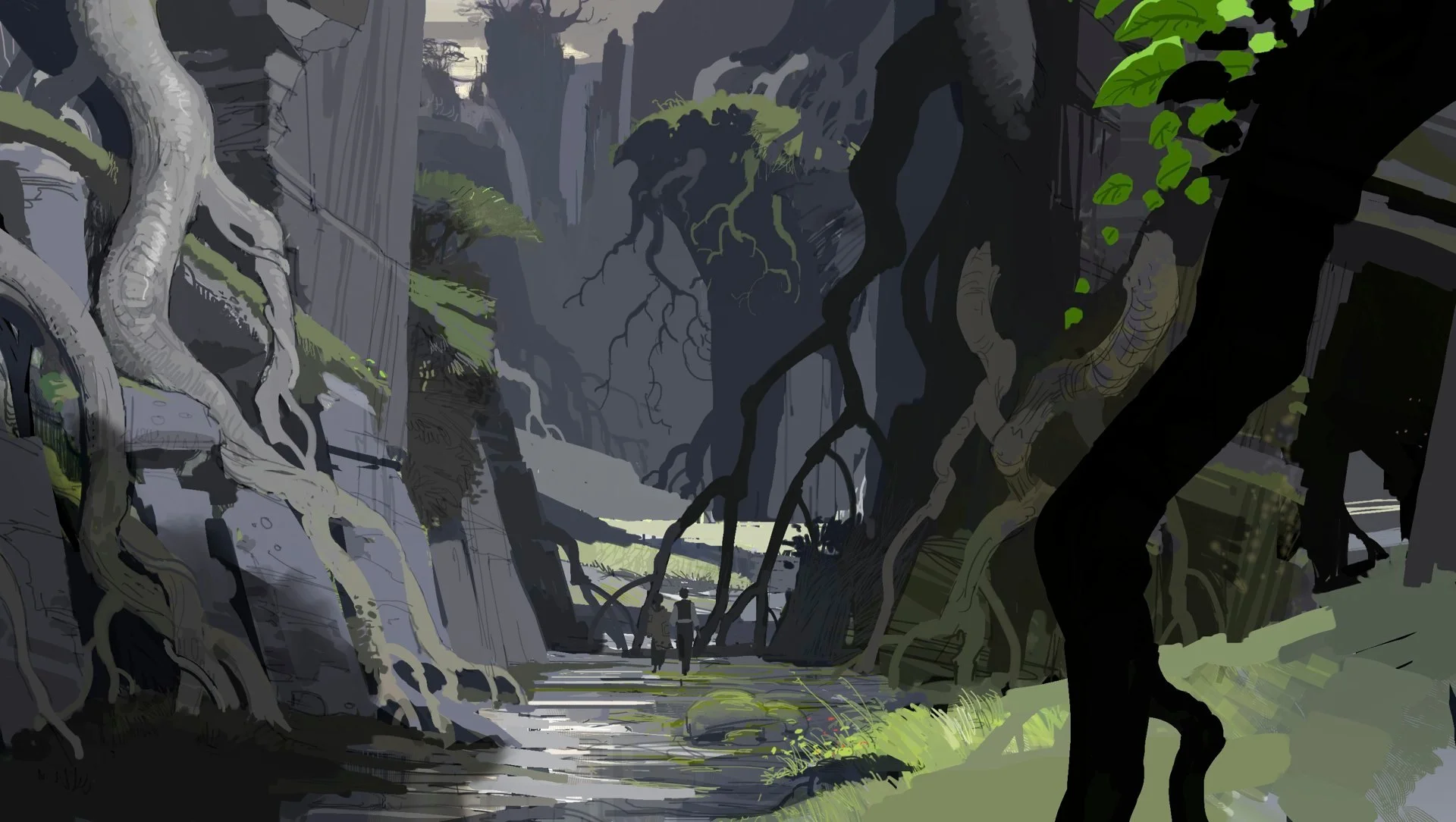 Neverland Bull island Forest Roots.jpg