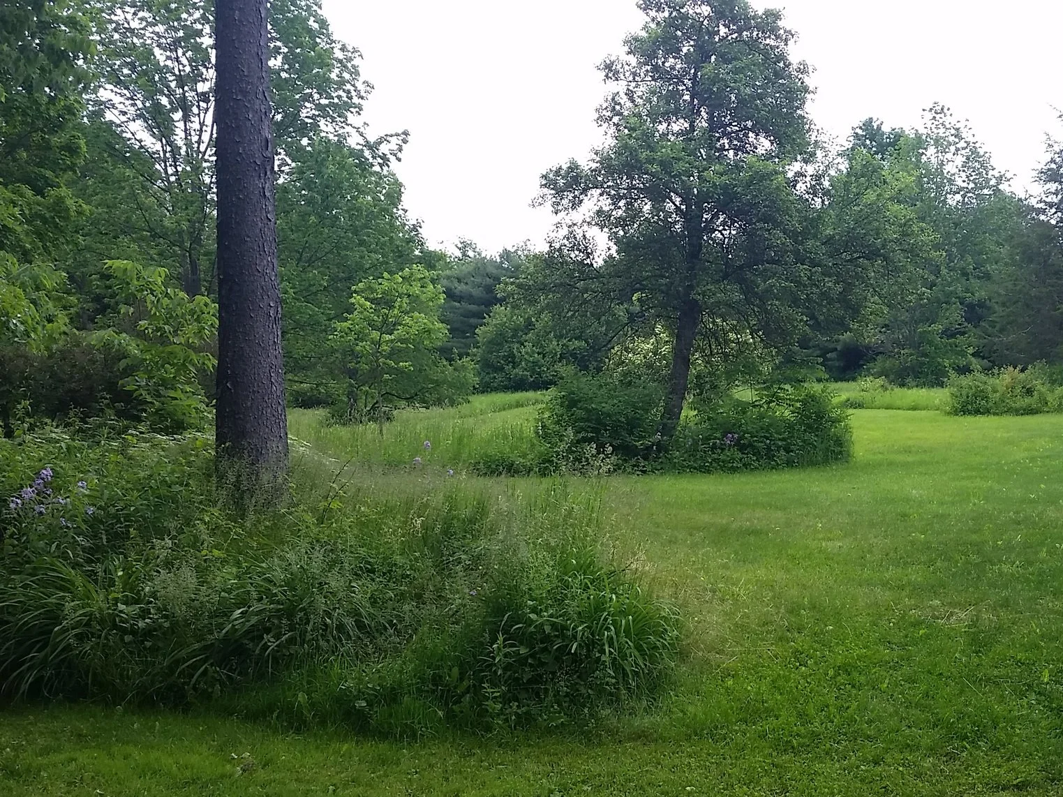 20170610_110809.jpg