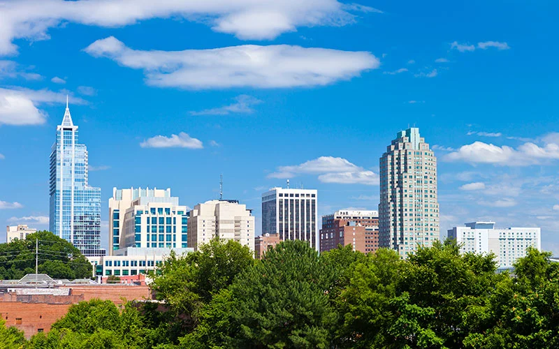raleigh.jpg