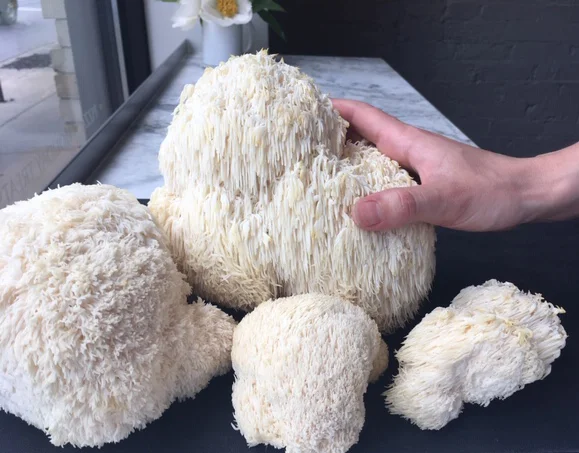 Lion's Mane and Farmers Market