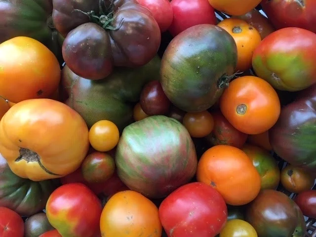 Good Summer Food on the Way