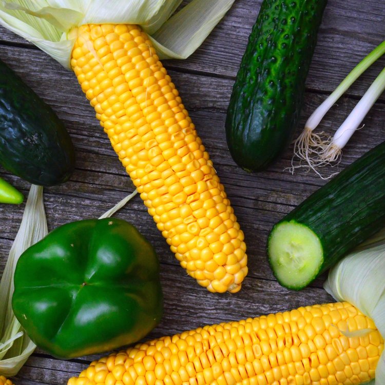 More Summer Goodness