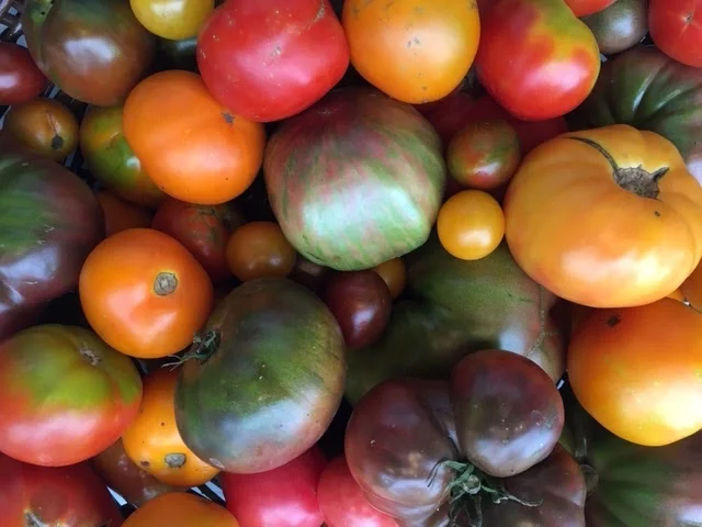 Summer is Ending and the Last Pop-Up Supper