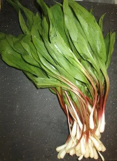 Ramps and Rhubarb