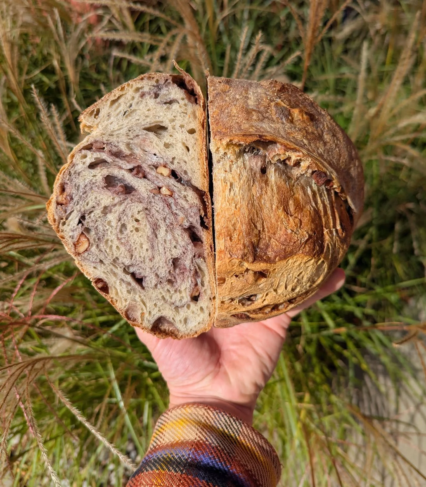 Say good morning to our newest sourdough, Kalamazoo!

Folding in maple spiced apples and walnuts makes for a perfect autumnal loaf. Kinda sweet, kinda savory, kinda tangy. We've been inhaling every test loaf Jeff has made this week. Thank you baker B