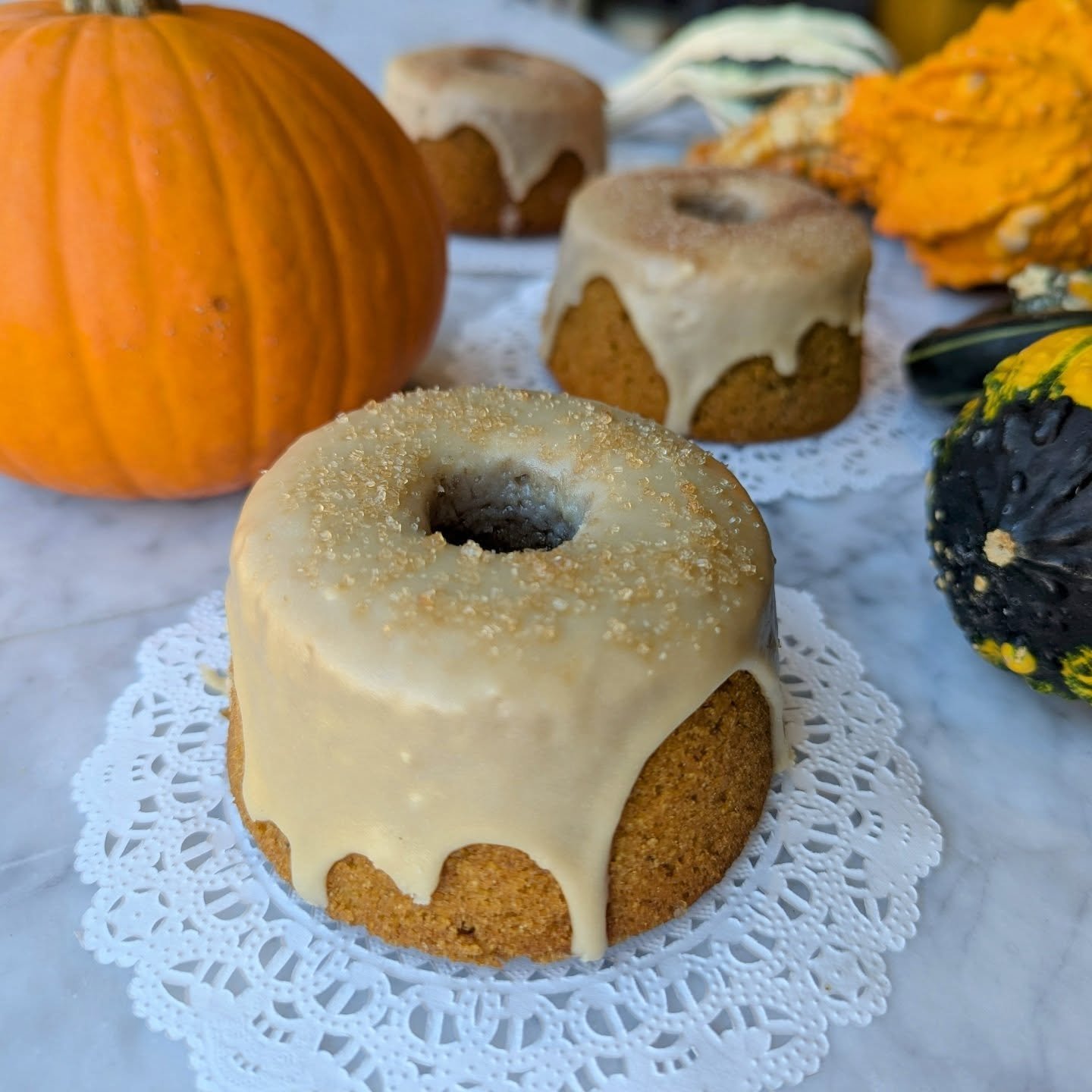 Pumpkin polenta cake is one of the many fantastic treats on our Thanksgiving menu! 

Sure, we have it available every day at the bakery, but I needed an excuse to talk about our holiday menu. Here it is! The Thanksgiving 2k25 Menu! It's got rolls, br