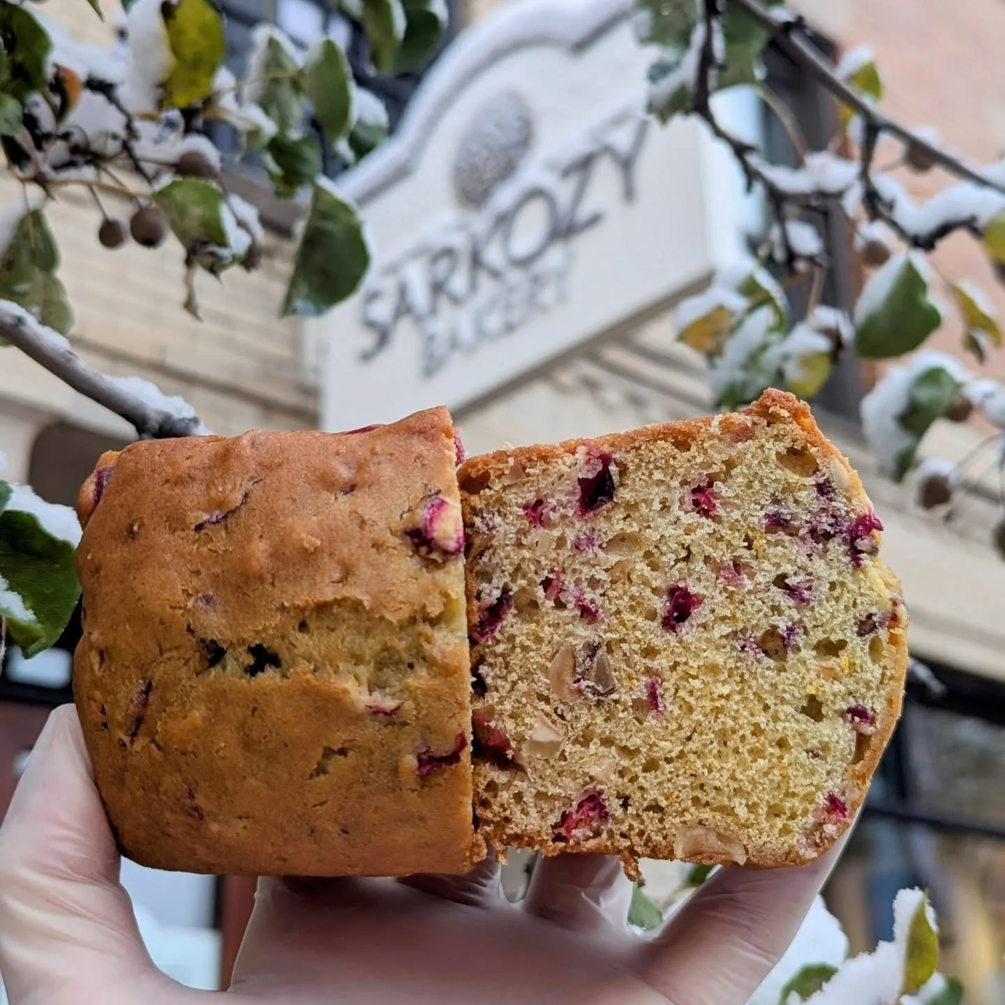 Happy snowy Sunday, Kalamazoo! Whether or not you're a fan of winter, there's something satisfying about the first snowfall of the year. Particularly in early November like this when the trees still have some leaves. The contrast of white and dark of