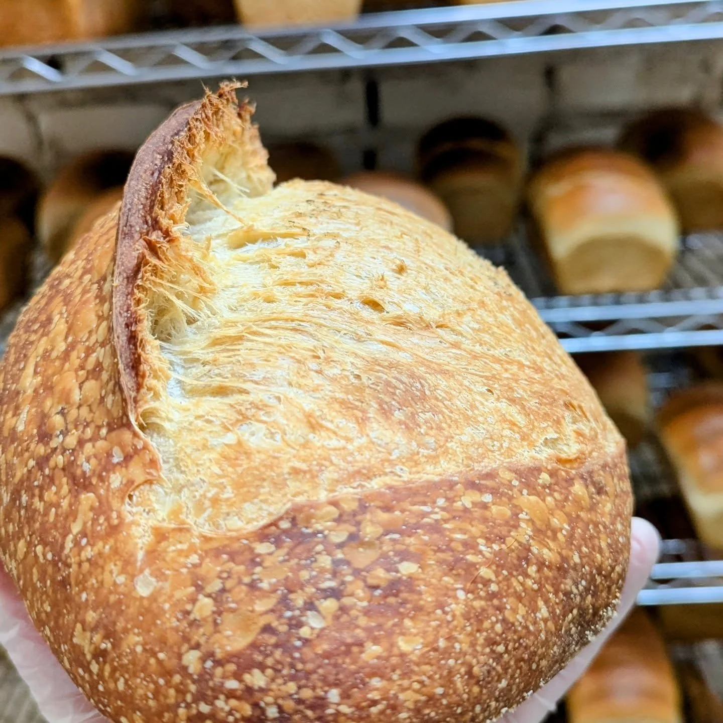 We're back open this Saturday morning! For how long? We'll let the snow storm decide. But it seems like you'll have time to re-stock up on bread before getting snowed in.

The weather even looks like it'll hold off long enough for you to get to the  
