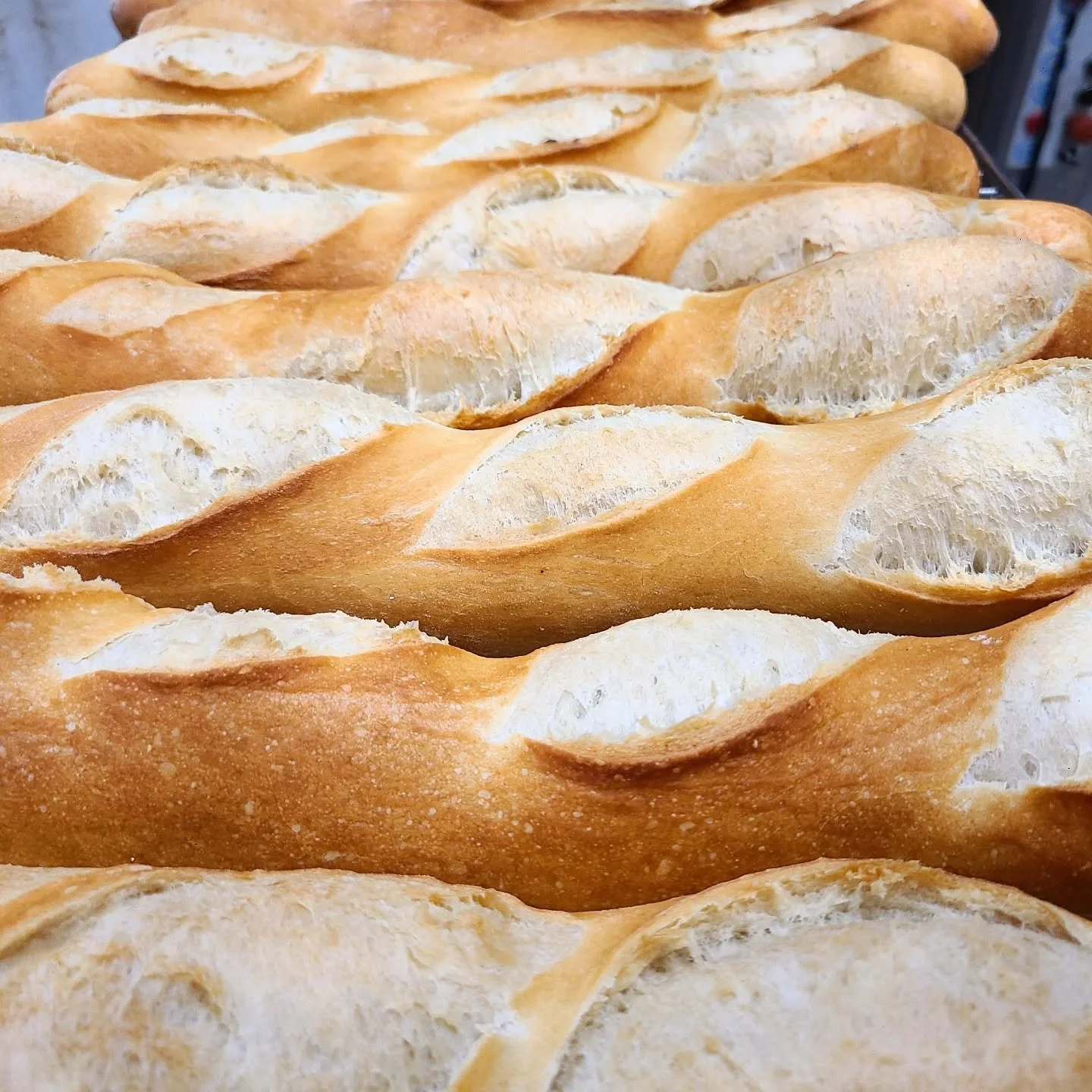 Happy new year Kalamazoo! Happy Saturday! The bakery is open after a nice long holiday break. Pastries are in the case and bread is coming out of the oven. 

Doors open at 7:30 every day of the week AND we'll be at the Kalamazoo Winter Market today!