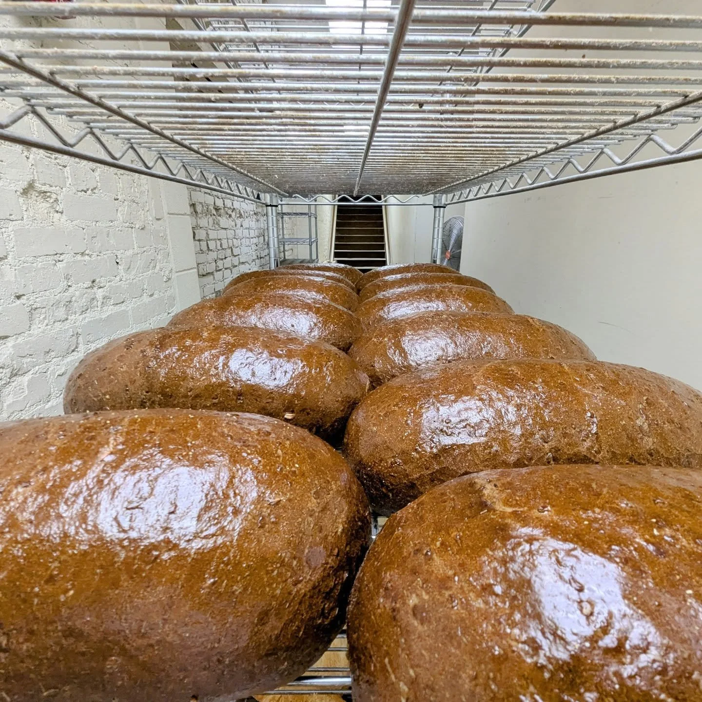 First pumpernickel of 2026!

Every Tuesday we mix, shape, and bake a batch of pumpernickel. Made with our rye sourdough starter and baked to a deep brown, this loaf has a fantastic crust yet has easily one of the softest, pillowy crumbs out of all ou
