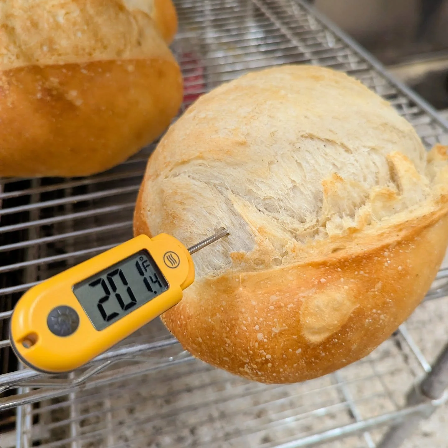 It's getting to the point that baking bread is  just a survival extinct. Gotta keep warm somehow!

Once again, our doors will be open to anyone while we're baking. Might close up early once we get everything ready for delivery to the grocery stores. 