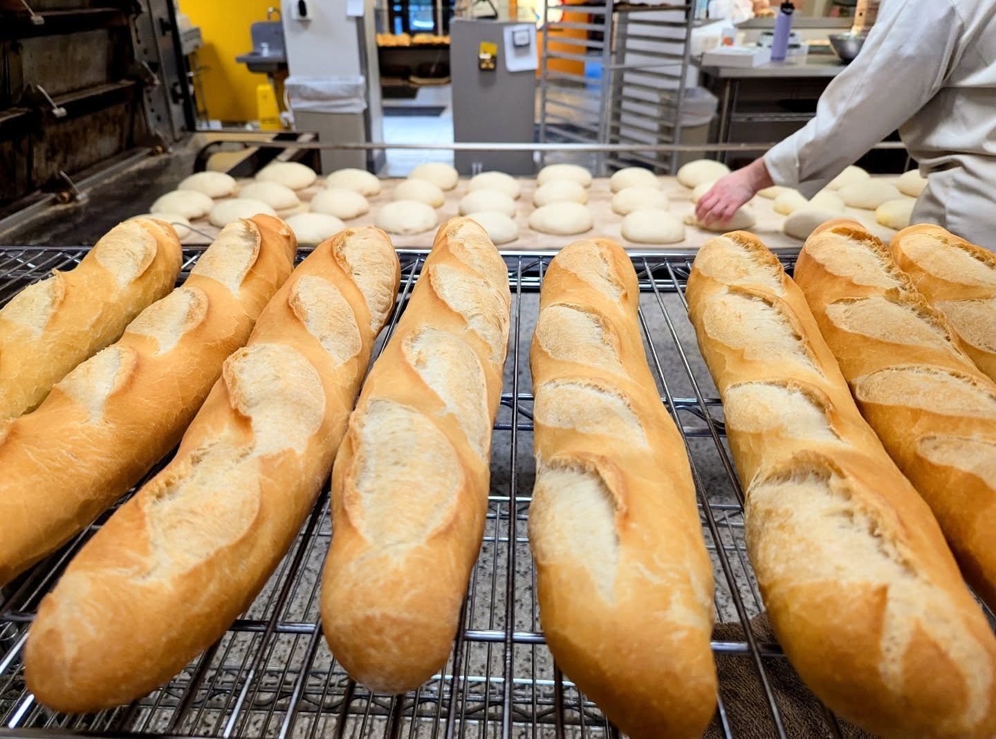 It's a bit of a gloomy morning but it sure doesn't feel like it here at the bakery when you've got baguettes like these coming out of the oven!

Mixed, fermented, shaped, proofed, and baked every morning! 

#baguette #loaf #bread #bakery #kalamazoo