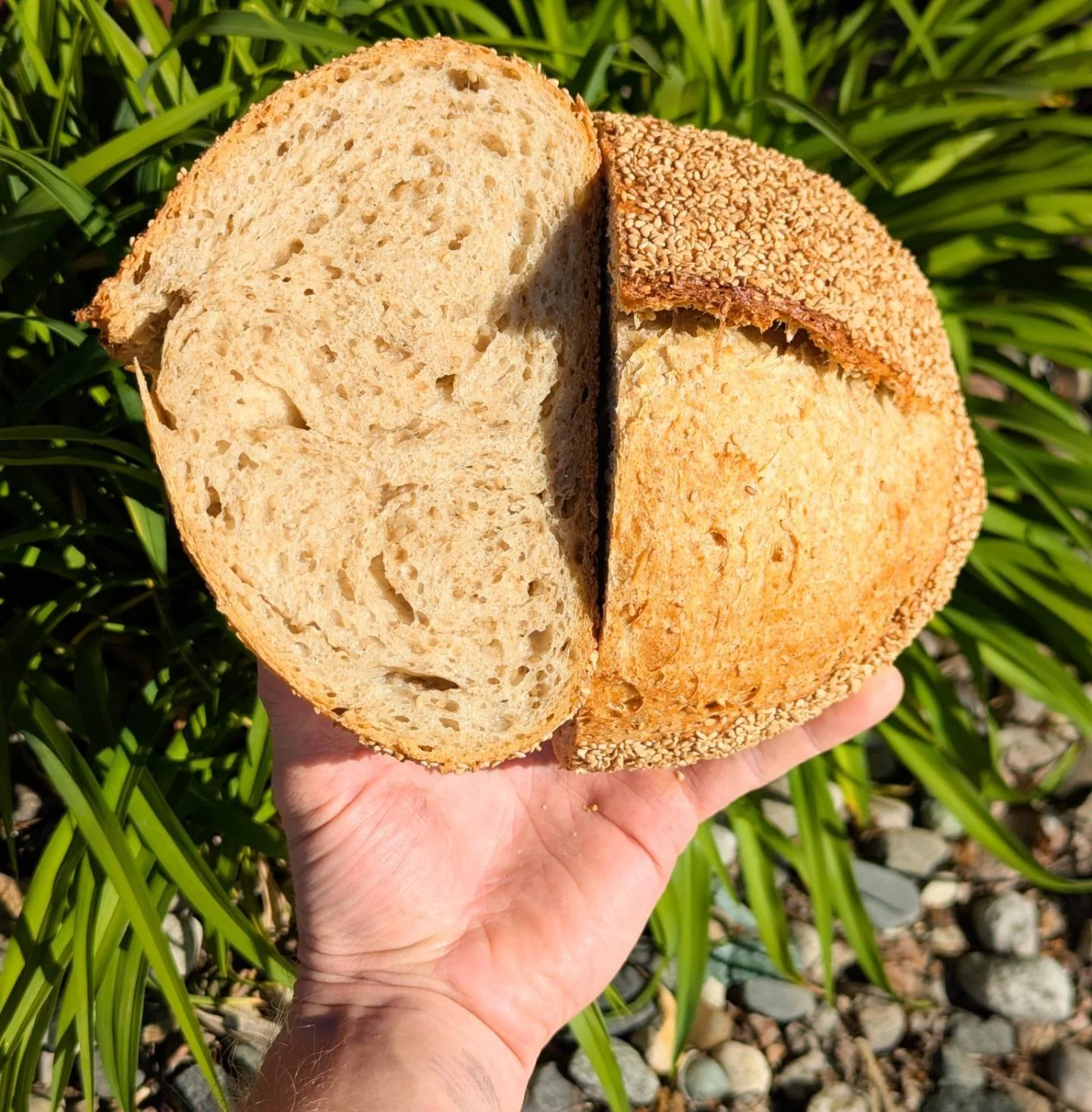 Good morning Kalamazoo, I have NO idea if it's a beautiful day for a farmers market or not!

It's absolutely gorgeous right now but it was supposed to rain. But it might storm later? Idk.

What I do know is that most of our baked goods take 3 days or