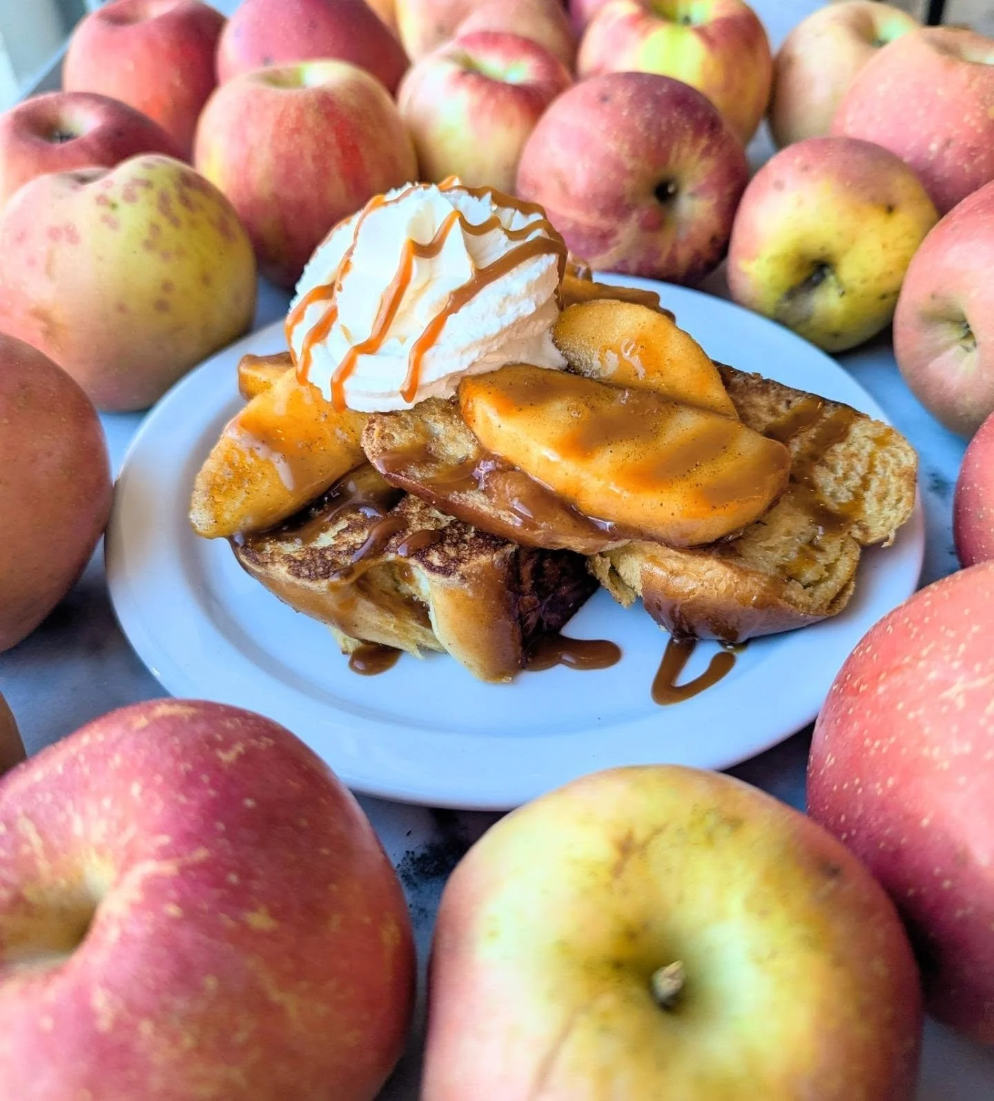 How do you like them apples?

Beautiful September days like this make my mind wander. Walking in the hot autumn sun, seeking refuge under the dappled light of the apple orchard canopy. Second guessing that favorite sweater or flannel you, slightly pr