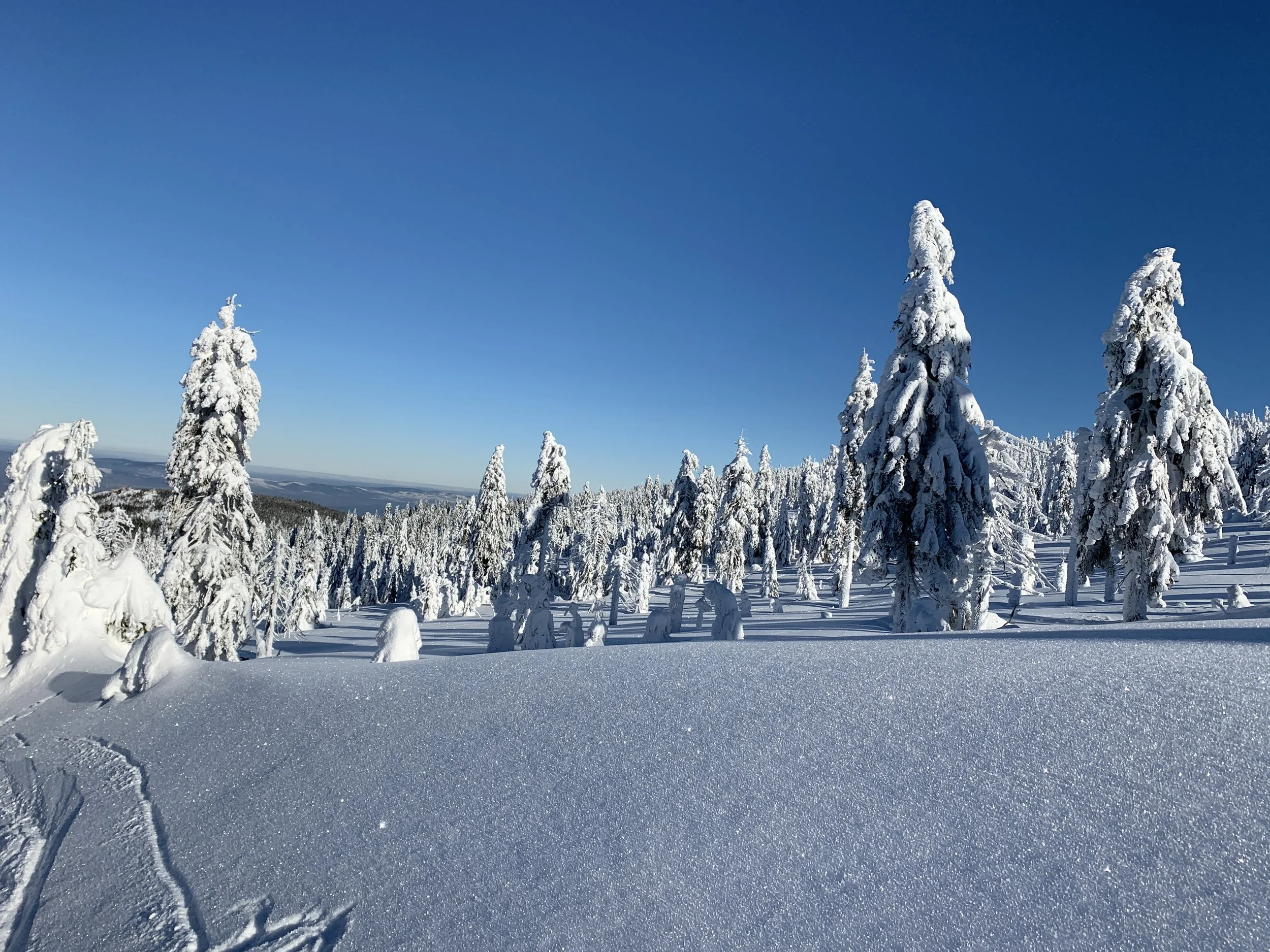 Poland - Wim Hof Method Winter Travel