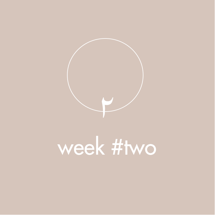 meditation-program-weektwo.png