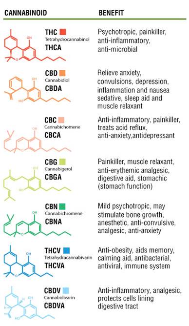 cannabinoids.jpg