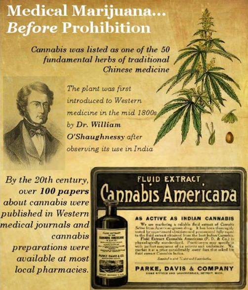 History of Cannabis.jpg