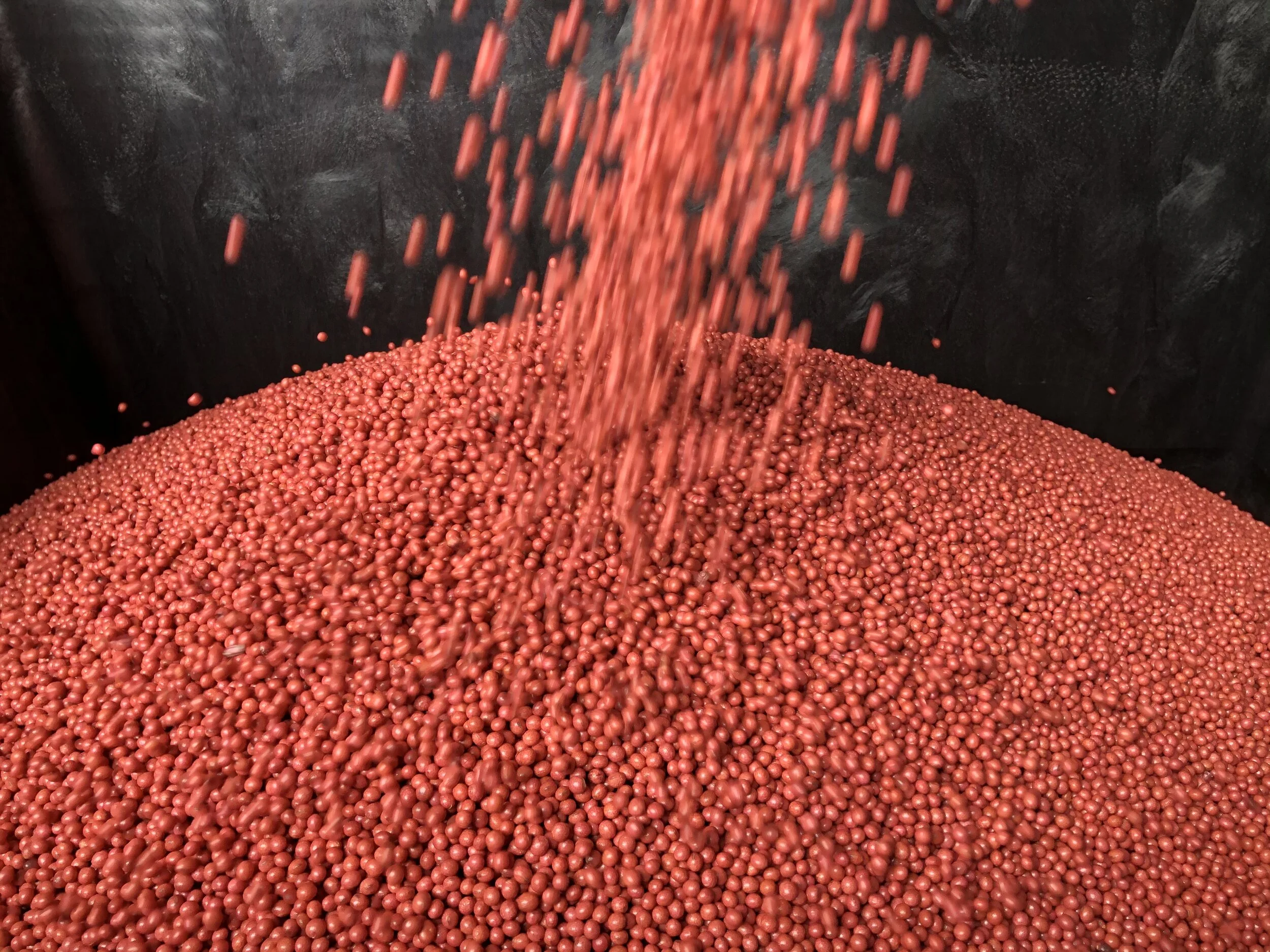 Soybean Inoculants Unified Ag Solutions