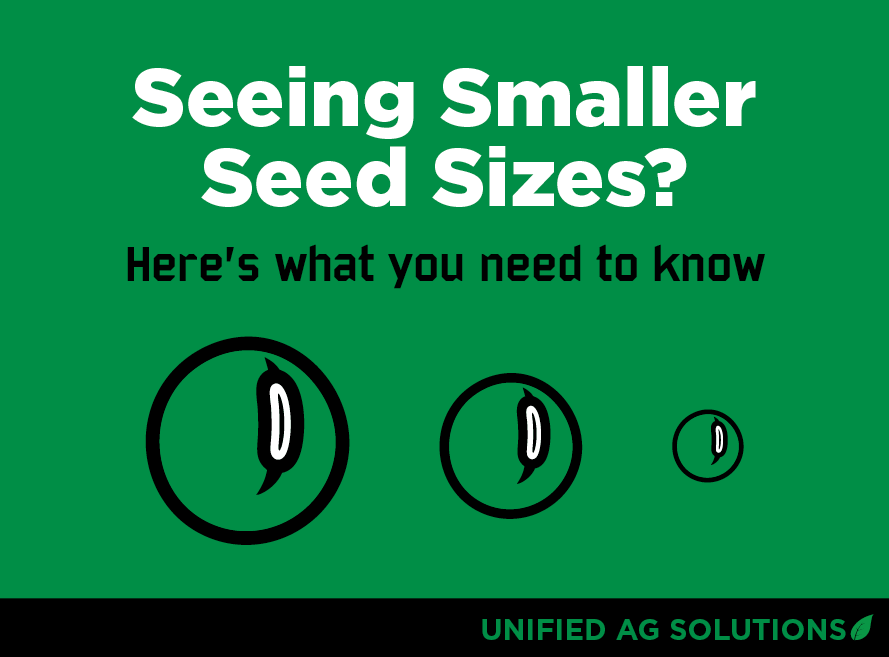 Seeing Smaller Soybean Sizes This Year? Here’s What You Need to Know.