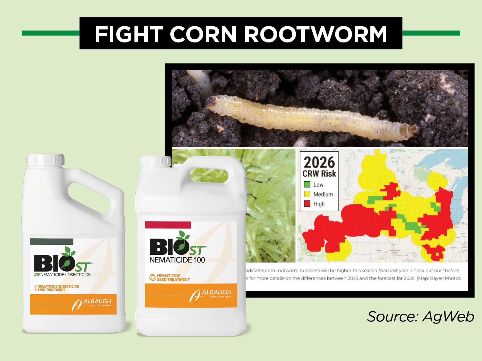 Corn Rootworm Pressure Is Rising. Here’s How to Stay Ahead.