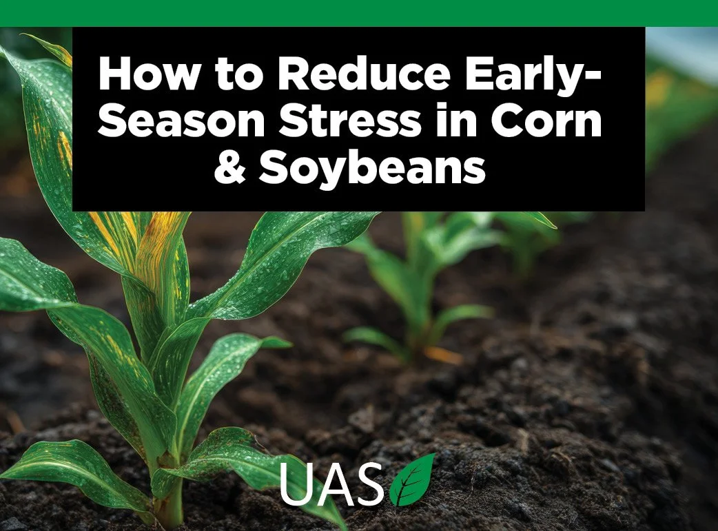 How to Reduce Early-Season Stress in Corn &amp; Soybeans
