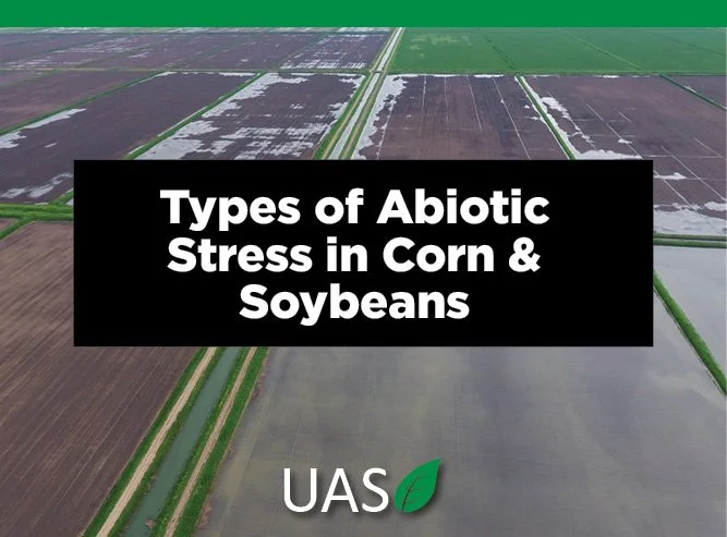 Types of Abiotic Stress in Corn &amp; Soybeans