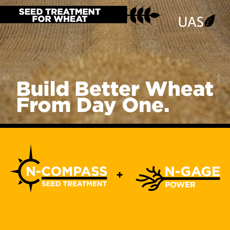 Does Wheat Seed Treatment Pay? Recent Kansas Field Trial Shows +18.43 Bu/Acre Advantage