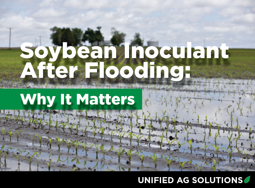 Fields Flooded This Fall? Don't Forget About Inoculant Next Spring