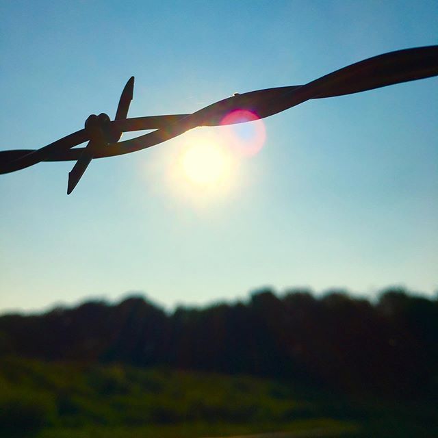 Our fencing project continues. There are jack hammer like noises mixing with the bird chirps and duck quacks and cow moos. It feels hectic for &ldquo;peace in the country&rdquo; rhetoric. .
.
.
The fences will span over most of the 126 acres. 5 stran