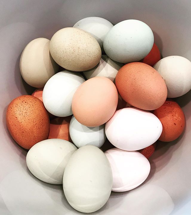 Always fun to start the morning breakfast shenanigans with these guys. Scrambled, baked, fried, or hard/soft boiled I&rsquo;m here for it ALL!!
.
.
.
I have a delivery meet up in Hudson on Thursdays if you&rsquo;d like to get in on this goodness. Sho