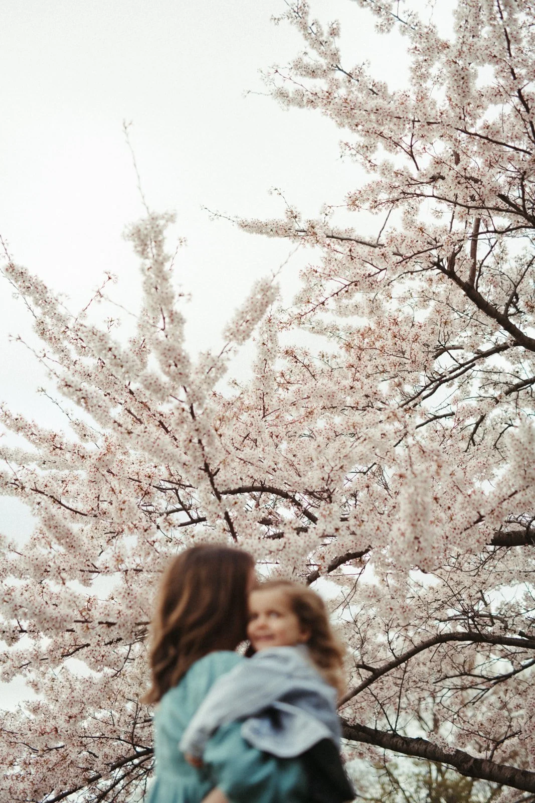 Running, Spring Blooms, and the Periphery